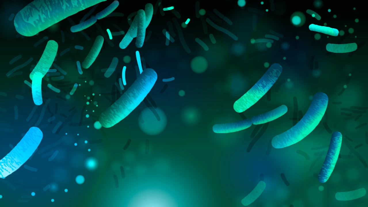 Sblocca il Potere del Lactobacillus: La Guida Definitiva a Questo Probiotico Superstar!
